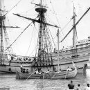 메이플라워 이미지