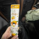 북포초교 | 뭔데 왜 5월인데