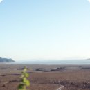 추장민박 이미지