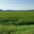 갤러리랜드공인중개사사무소 이미지