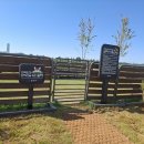 원신근린공원 (1) 이미지