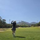 플루트9중급) | 설악산 뷰 끝판왕! 델피노 골프장 라운딩 후기Ⅰ코스·가격·난이도 총정리