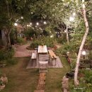 숲속앤정원 이미지