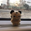 초아 태권도 | [240128] K-컬처 페스티벌 in 강릉 후기