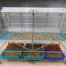 우용농장 이미지