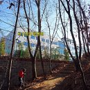 비오람요양병원 이미지