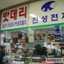 진성밧데리