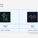 도그트랜드 이미지