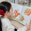 동화구연과 그림책 놀이(A) | 5세 6세 유아전집 인성동화 책육아는 키즈에이원