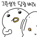 [연남] 스튜디오 미인은 향수 원데이클래스 내돈내산 후기🤍