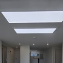 우성동백 이미지