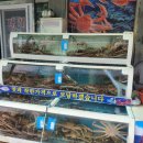 재성공인중개사 이미지