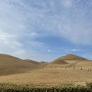 송학동-02 이미지