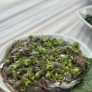 @2026 봄에 찾은 맛집