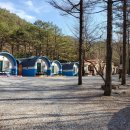 완산-66 이미지