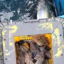 대부목장2 이미지