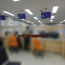 소나무 행정사 사무소 이미지