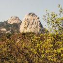 홍록배드민턴장 이미지