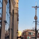 파인(143) 이미지