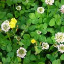 파주스타디움 이미지