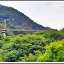 느티골길 이미지