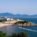 모항해수욕장 경향신문