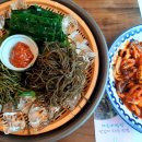 해올 티스토리