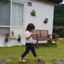 키작은집 이미지