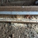 호산나농장 이미지