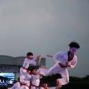 또리와 아로 이미지