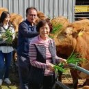 만희농장 이미지