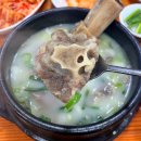 명가조방낙지 | 대한민국 최고의 곰탕 맛집 완벽 가이드