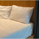 스테이샬롬 이미지