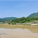 수철리경로당 네이버블로그