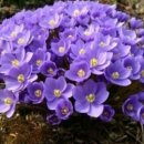 초일농장 이미지