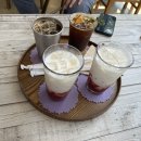 동오리가비 이미지