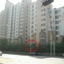 수원-1704 이미지