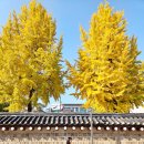 갤럭시여관 | 서울 단풍 뷰 테라스 카페 서촌 카페 보안 데이트 가볼만한곳