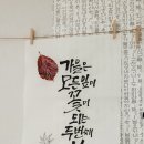 캘리그라피 오전반 이미지