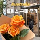 호주 시드니 여행 ㅣ에르메스 파란돌 샹달 실버 이어링 귀걸이 구매 후기 (가격, 웨이팅, 위치, 택스...