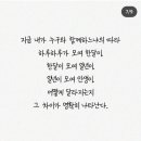 언니밥상