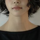 헤어재인 이미지