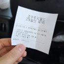 경주 플래시백 계림 미디어아트가 이정도는 돼야지!(내돈내산 솔직후기)