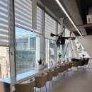 두피랑염색이랑 | 강남미용실 강남역미용실 무로 밀본 비건염색제로 뿌리염색 두피스파 하고 온 솔직한 후기