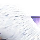 현금영수증이 조회되지 않아요. 이미지