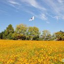 충의공원(충혼탑) 네이버블로그