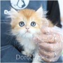 몽글몽글 이미지