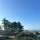 나인스파빌 | 제주시 숙소 후기 - 나인스파빌 :: 스파가 가능한 조식이 있는 가성비 숙소
