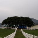 거창(광주) 이미지