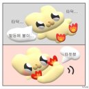 (OR일상)을 가장한 먹부림